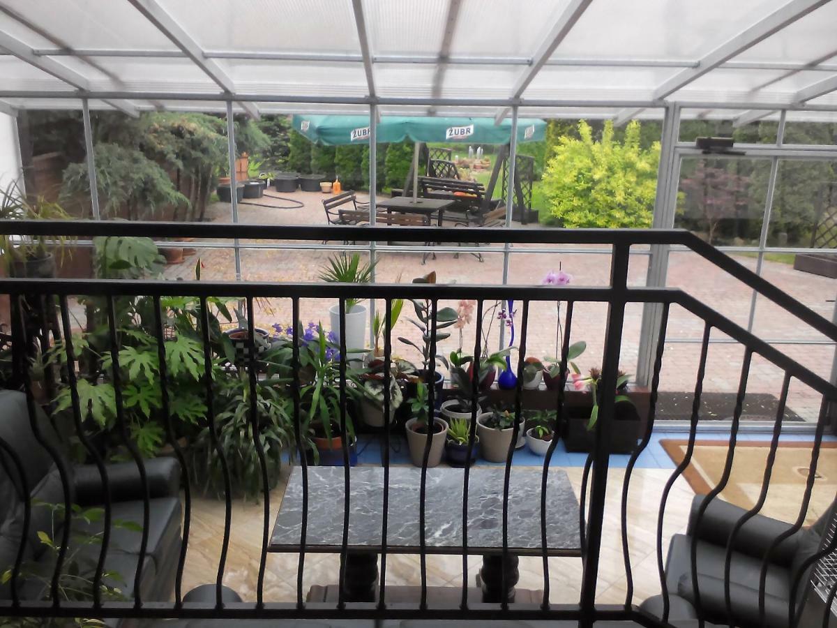 Vita Augustow Ngoại thất bức ảnh